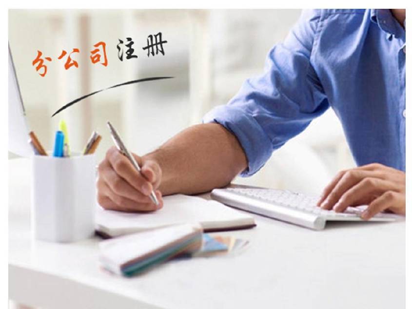 乐东高效代理营业执照和代办工商注册及设立标准登记办理服务？
